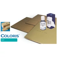 Kép 1/3 - STK COLORIS festék 121 P