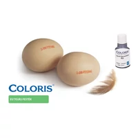 Kép 1/3 - STK COLORIS festék 4723 EU TOJÁS