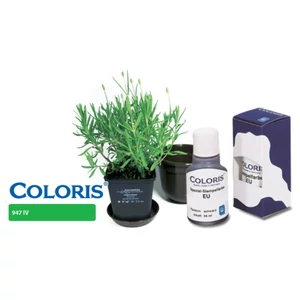 STK COLORIS festék 947 IV